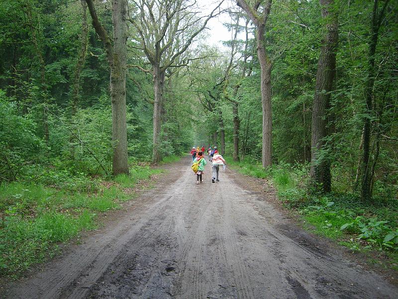 SL701833.JPG
